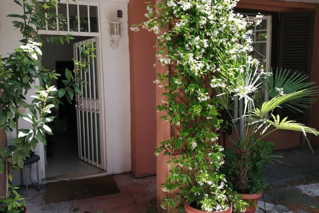 La Casa Della Mia Famiglia Roma Exterior foto