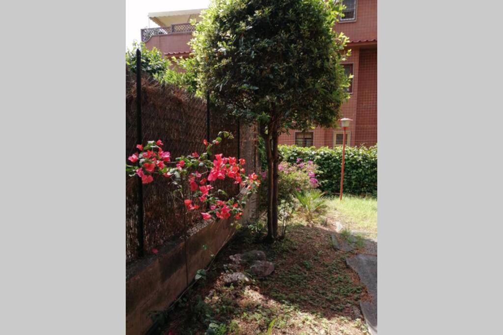 La Casa Della Mia Famiglia Roma Exterior foto